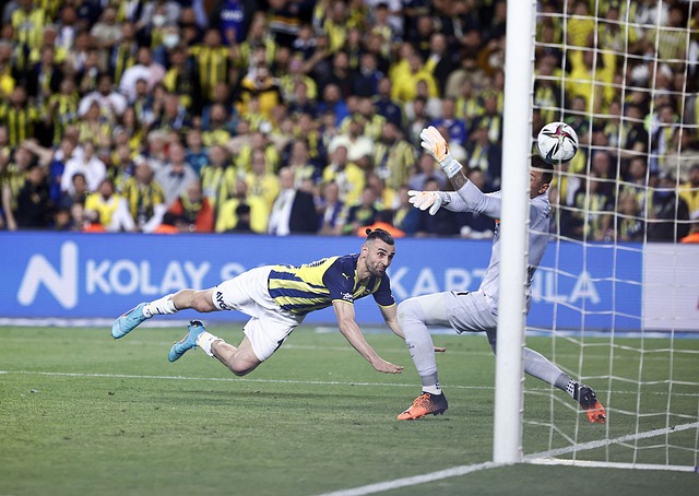 量的球員 量的球員