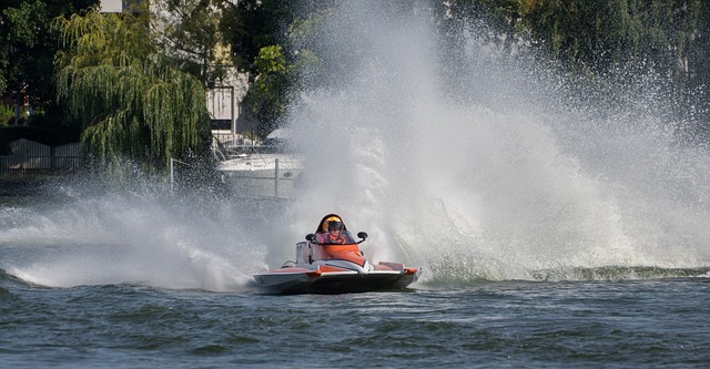 向于押注于 向于押注于