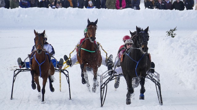 技的场上比 技的场上比