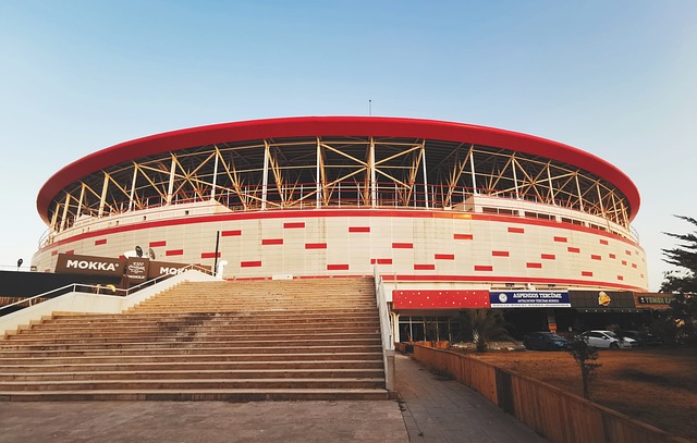 不知情的情 不知情的情