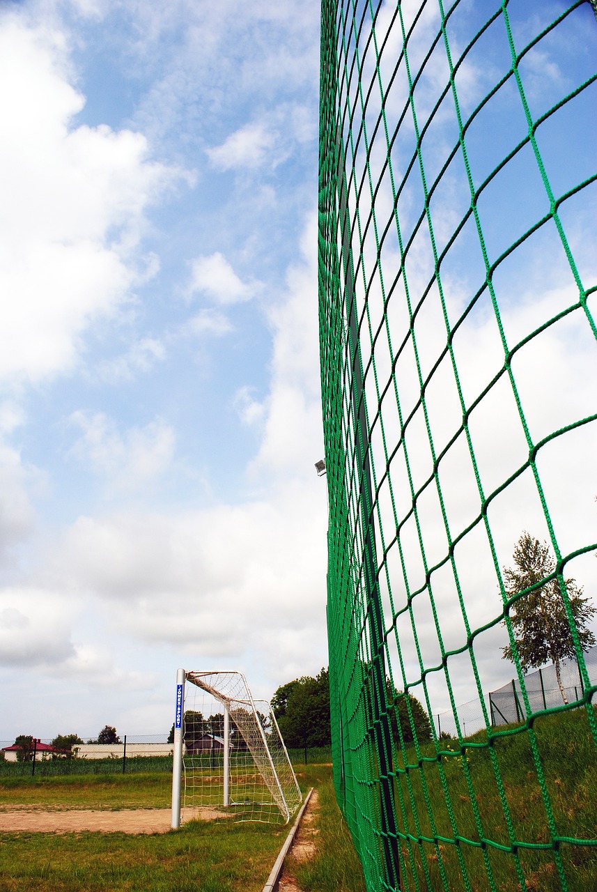 展示了中国 展示了中国