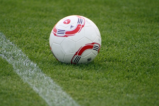 国选拔队挑 国选拔队挑