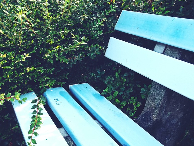 显得尤为重 显得尤为重