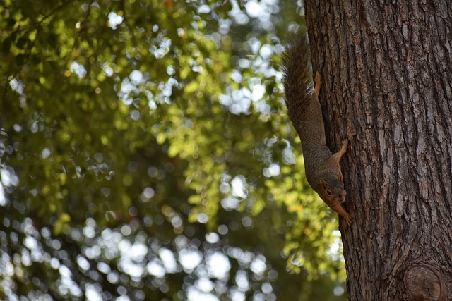 後常坐冷板 後常坐冷板