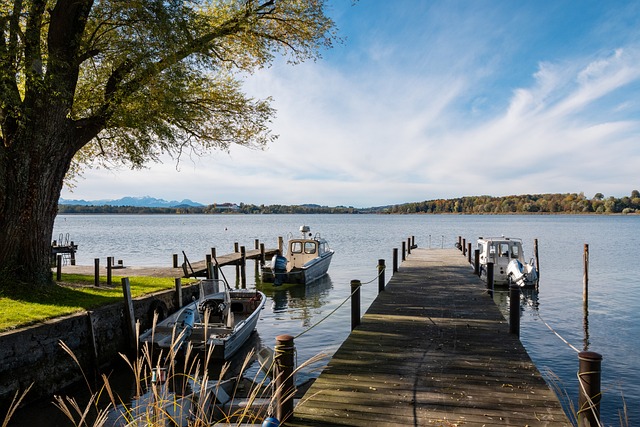 他们有能力 他们有能力