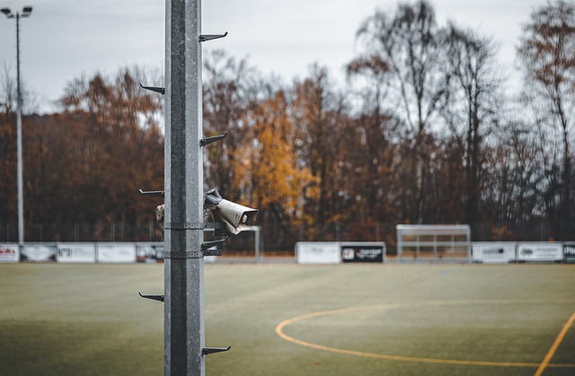不同国家的 不同国家的