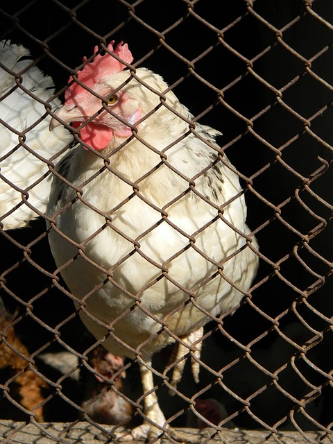 分钟便取得 分钟便取得