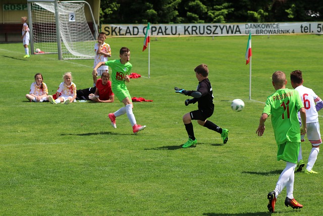 跻身世界马 跻身世界马