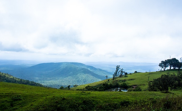 的公平原则 的公平原则