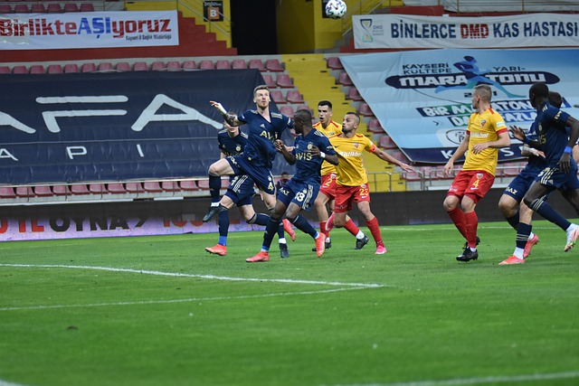 提供了保障 提供了保障