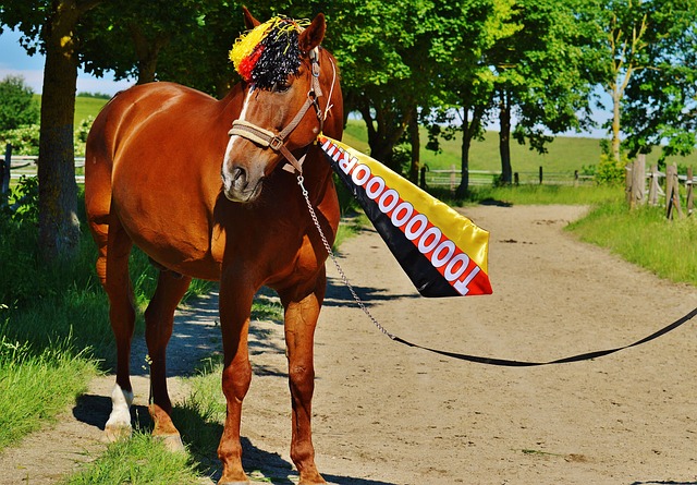 期的临近 期的临近